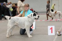 /album/fotogalereya-nashi-pobedy/sharikmonbig-jpg1/